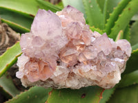 Natural Amethyst Spirit Quartz Clusters x 2 From Boekenhouthoek, South Africa