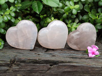 Polished Girasol Rose Quartz Gemstone Hearts x 3 From Ambatondrazaka, Madagascar