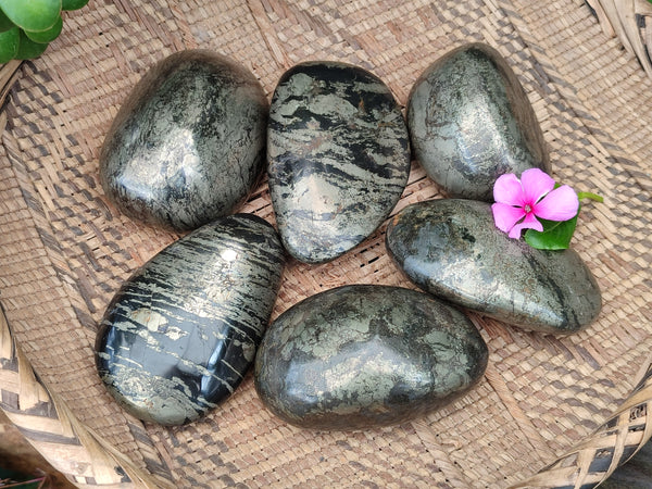 Polished Rare Pharaoh Stone Pyrite in Basalt Palm Stones x 6 Iron Duke Mine, Zimbabwe