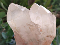 Natural White Quartz Clusters x 2 From Madagascar