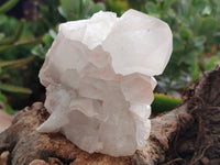 Natural White Quartz Clusters x 2 From Madagascar