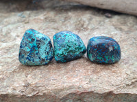 Polished Shattuckite with Azurite and Chrysocolla and Malachite Tumble Stones x 26 From Congo