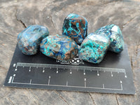 Polished Shattuckite with Azurite and Chrysocolla and Malachite Tumble Stones x 26 From Congo