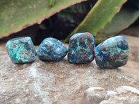 Polished Shattuckite with Azurite and Chrysocolla and Malachite Tumble Stones x 26 From Congo