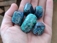 Polished Shattuckite with Azurite and Chrysocolla and Malachite Tumble Stones x 26 From Congo