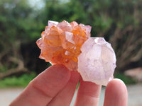 Natural Amethyst Spirit Quartz Clusters x 20 From Boekenhouthoek, South Africa