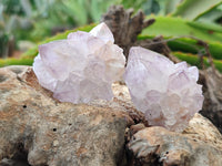 Natural Amethyst Spirit Quartz Clusters x 20 From Boekenhouthoek, South Africa