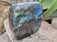 Polished Labradorite Standing Free Form x 1 From Tulear, Madagascar