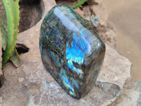 Polished Labradorite Standing Free Form x 1 From Tulear, Madagascar