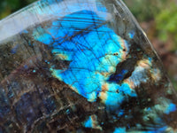 Polished Labradorite Standing Free Form x 1 From Tulear, Madagascar