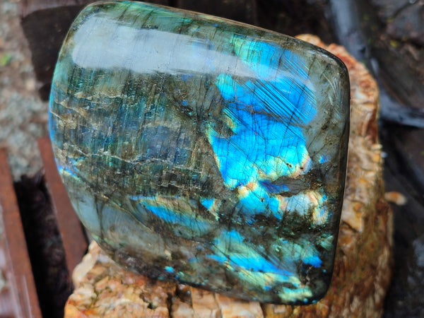 Polished Labradorite Standing Free Form x 1 From Tulear, Madagascar