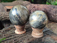 Polished Rare Pharaoh Stone Spheres x 6 From Zimbabwe