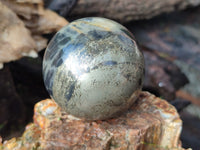 Polished Rare Pharaoh Stone Spheres x 6 From Zimbabwe