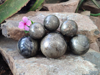 Polished Rare Pharaoh Stone Spheres x 6 From Zimbabwe