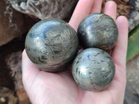 Polished Rare Pharaoh Stone Spheres x 6 From Zimbabwe