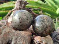 Polished Rare Pharaoh Stone Spheres x 6 From Zimbabwe