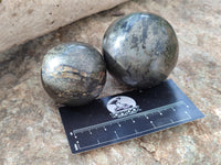 Polished Rare Pharaoh Stone Spheres x 6 From Zimbabwe