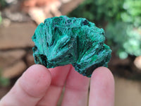 Natural Silky Malachite Specimens x 35 From Kasompe, Congo