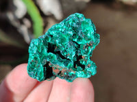 Natural Silky Malachite Specimens x 35 From Kasompe, Congo