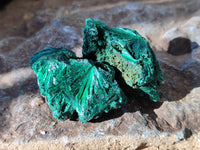 Natural Silky Malachite Specimens x 35 From Kasompe, Congo