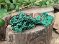 Natural Silky Malachite Specimens x 35 From Kasompe, Congo