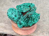 Natural Silky Malachite Specimens x 35 From Kasompe, Congo