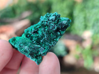 Natural Silky Malachite Specimens x 35 From Kasompe, Congo