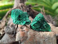 Natural Silky Malachite Specimens x 35 From Kasompe, Congo