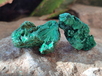 Natural Silky Malachite Specimens x 35 From Kasompe, Congo