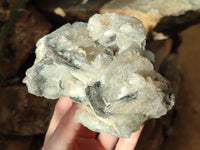 Natural Bladed Barite Specimen x 2 From Congo