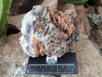 Natural Bladed Barite Specimen x 2 From Congo