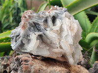 Natural Bladed Barite Specimen x 2 From Congo