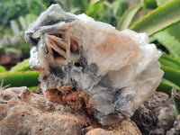 Natural Bladed Barite Specimen x 2 From Congo