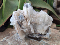 Natural Bladed Barite Specimen x 2 From Congo