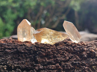 Natural Smokey Citrine Quartz Crystals x 2.34 Kg Lot From Zimbabwe