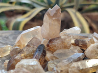 Natural Smokey Citrine Quartz Crystals x 2.34 Kg Lot From Zimbabwe