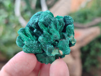 Natural Silky Malachite Specimens x 35 From Kasompe, Congo