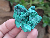 Natural Silky Malachite Specimens x 35 From Kasompe, Congo