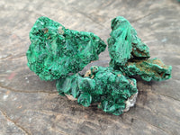 Natural Silky Malachite Specimens x 35 From Kasompe, Congo