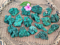 Natural Silky Malachite Specimens x 35 From Kasompe, Congo