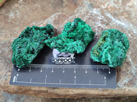 Natural Silky Malachite Specimens x 35 From Kasompe, Congo