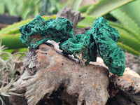 Natural Silky Malachite Specimens x 35 From Kasompe, Congo