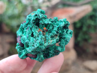 Natural Silky Malachite Specimens x 35 From Kasompe, Congo