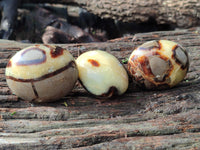 Polished Mixed Galet / Palm Stones x 12 From Southern Africa