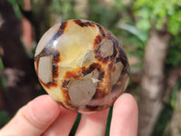 Polished Mixed Galet / Palm Stones x 12 From Southern Africa