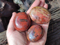 Polished Mixed Galet / Palm Stones x 12 From Southern Africa