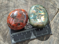 Polished Mixed Galet / Palm Stones x 12 From Southern Africa