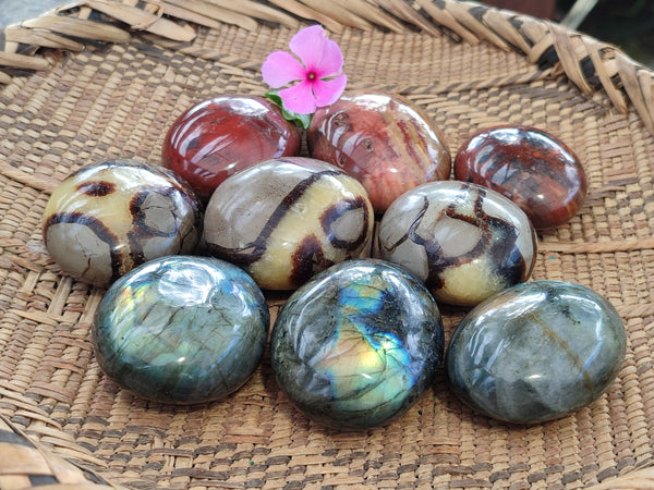 Polished Mixed Galet / Palm Stones x 12 From Southern Africa