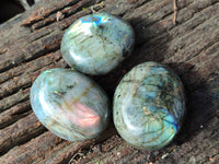 Polished Mixed Galet / Palm Stones x 12 From Southern Africa