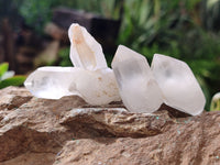 Natural Single White Quartz Crystals x 70 From Madagascar